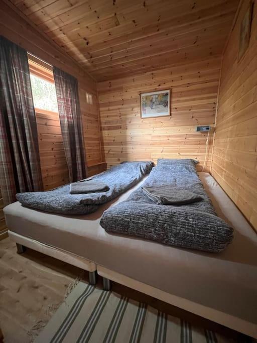 Cozy And Spacious Cabin Svensby Bagian luar foto