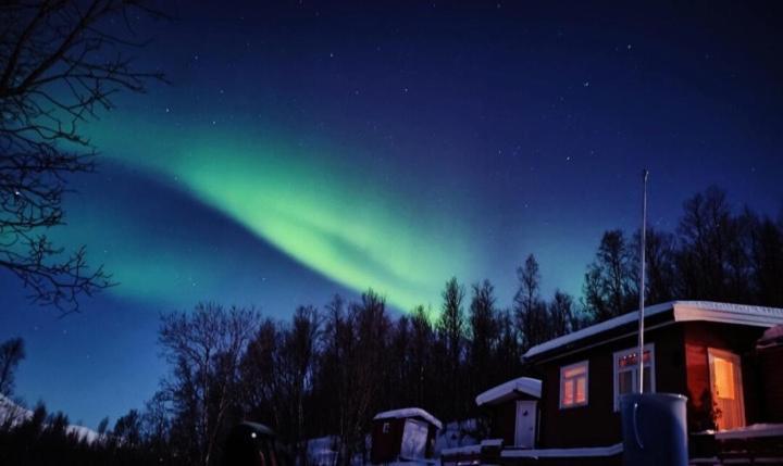 Cozy And Spacious Cabin Svensby Bagian luar foto